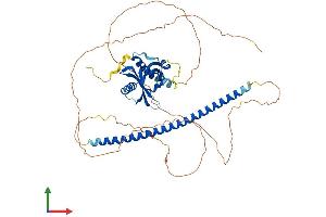 AlphaFold protein structure predicition of Mouse Recombinant Nos1ap Protein, UniprotID Q9D3A8 (NOS1AP Protein (AA 1-503) (His tag))