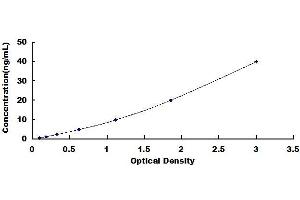 Typical standard curve (Surfactant Protein C ELISA Kit)