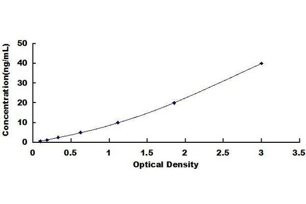 Surfactant Protein C ELISA Kit