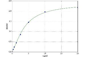 Ataxin 1 (ATXN1) ELISA Kit
