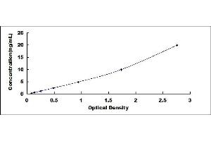 Typical standard curve (EN2 ELISA Kit)