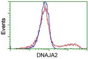 HEK293T cells transfected with either RC202204 overexpress plasmid (Red) or empty vector control plasmid (Blue) were immunostained by anti-DNAJA2 antibody (ABIN2452954), and then analyzed by flow cytometry. (DNAJA2 antibody)