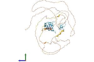 AlphaFold protein structure predicition of Mouse Recombinant Ewsr1 Protein, UniprotID Q61545 (EWSR1 Protein (AA 1-655) (His tag))