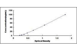 GAS6 ELISA Kit