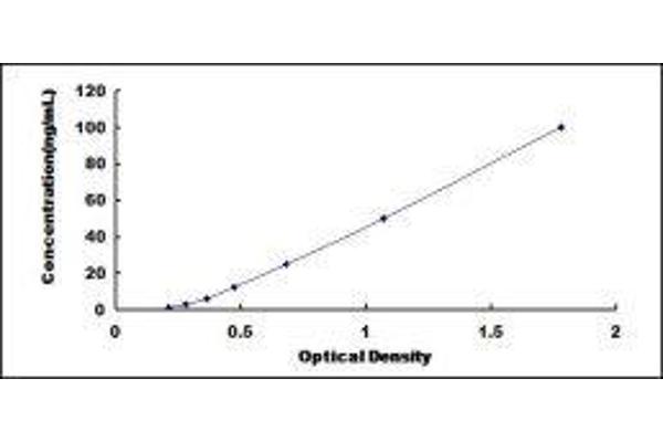 GAS6 ELISA Kit