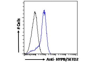 ABIN238587 Flow cytometric analysis of paraformaldehyde fixed HepG2 cells (blue line), permeabilized with 0. (SETD2 antibody  (Internal Region))