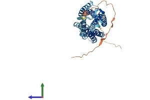 AlphaFold protein structure predicition of Human Recombinant P2RY11 Protein, UniprotID Q96G91 (P2RY11 Protein (AA 1-374) (His tag))