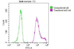 Overlay histogram showing 293T transfected cells (red line) or untransfected cells (green line) stained with ABIN7141389 at 1:200. (LacZ antibody)