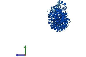 Protein Structure (PS) image for Sperm Associated Antigen 6 (SPAG6) (AA 1-507) protein (His tag) (ABIN7561676)