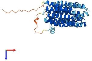 AlphaFold protein structure predicition of Human Recombinant SLC22A18 Protein, UniprotID Q96BI1 (ORCTL-2/SLC22A18 Protein (AA 1-424) (His tag))