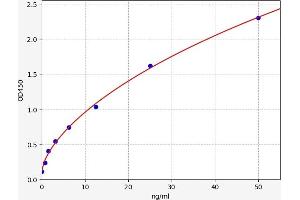 Adiponectin Receptor 2 ELISA Kit