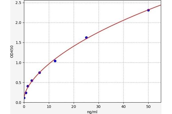 Adiponectin Receptor 2 ELISA Kit