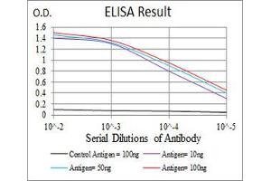 Black line: Control Antigen (100 ng), Purple line: Antigen(10 ng), Blue line: Antigen (50 ng), Red line: Antigen (100 ng), (alpha Adducin antibody  (AA 1-193))
