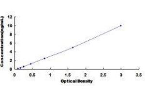 ELISA image for Angiotensin II Receptor, Type 2 (AGTR2) ELISA Kit (ABIN417009)