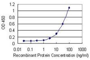 Detection limit for recombinant GST tagged MAF1 is 1 ng/ml as a capture antibody. (MAF1 antibody  (AA 1-256))