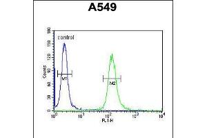 Flow cytometric analysis of A549 cells (right histogram) compared to a negative control cell (left histogram). (LOH12CR1 antibody  (C-Term))