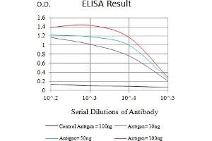 Black line: Control Antigen (100 ng),Purple line: Antigen (10 ng), Blue line: Antigen (50 ng), Red line:Antigen (100 ng) (JAM2 antibody  (AA 29-238))