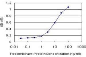 Detection limit for recombinant GST tagged DIABLO is approximately 0. (DIABLO antibody  (AA 119-218))