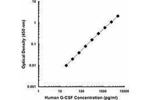 ELISA image for anti-Colony Stimulating Factor 3 (Granulocyte) (CSF3) antibody (ABIN2664986) (G-CSF antibody)