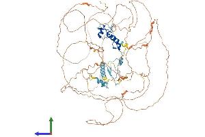 AlphaFold protein structure predicition of Mouse Recombinant Atxn7 Protein, UniprotID Q8R4I1 (ATXN7 Protein (AA 1-867) (His tag))