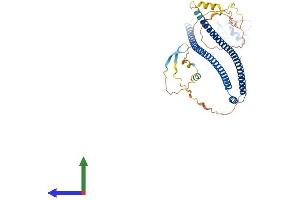 Protein Structure (PS) image for TRAF Interacting Protein (TRAIP) (AA 1-469) protein (His tag) (ABIN7544585)