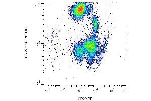 Surface staining of human peripheral blood with anti-human CD29 (MEM-101A) PE. (ITGB1 antibody  (PE))