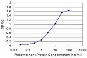 Detection limit for recombinant GST tagged BRD3 is approximately 0. (BRD3 antibody  (AA 418-556))
