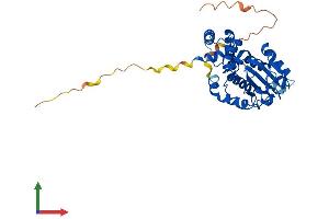 Protein Structure (PS) image for Tocopherol (Alpha) Transfer Protein-Like (TTPAL) (AA 1-343) protein (His tag) (ABIN7560947)