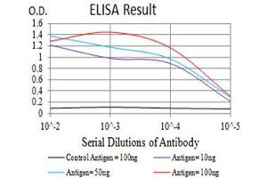 Black line: Control Antigen (100 ng),Purple line: Antigen (10 ng), Blue line: Antigen (50 ng), Red line:Antigen (100 ng) (GRM2 antibody  (AA 414-558))