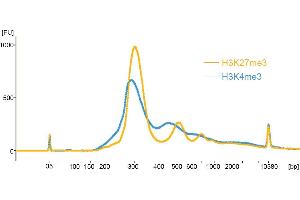 Image no. 2 for CUTANA™ pAG-MNase for ChIC/CUT&RUN Assays (ABIN6950951)