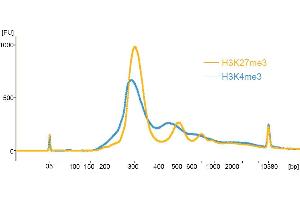 Size Distribution of Released Chromatin:CUT&RUN was performed using CUTANA™ pAG-MNase (1:20 dilution) with 0. (CUTANA™ pAG-MNase for ChIC/CUT&RUN Assays)