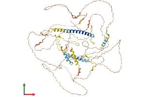 AlphaFold protein structure predicition of Human Recombinant FAM149A Protein, UniprotID A5PLN7 (FAM149A Protein (AA 1-773) (His tag))