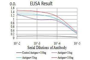 Black line: Control Antigen (100 ng),Purple line: Antigen (10 ng), Blue line: Antigen (50 ng), Red line:Antigen (100 ng) (PRKAA2 antibody  (AA 453-552))