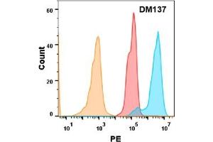 5T4 protein is highly expressed on the surface of Expi293 cell membrane. (TPBG antibody  (AA 32-355))