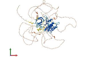Protein Structure (PS) image for Microtubule Associated serine/threonine Kinase-Like (MASTL) (AA 1-865) protein (His tag) (ABIN7564485)
