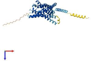 AlphaFold protein structure predicition of Human Recombinant GPR183 Protein, UniprotID P32249 (GPR183 Protein (AA 1-361) (His tag))