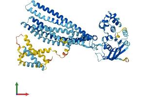 Protein Structure (PS) image for Transporter 2, ATP-Binding Cassette, Sub-Family B (MDR/TAP) (TAP2) (AA 1-686) protein (His tag) (ABIN7555733)
