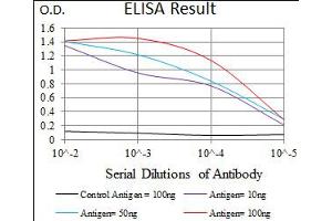Image no. 1 for anti-HIR Histone Cell Cycle Regulation Defective Homolog A (HIRA) antibody (ABIN1490946) (HIRA antibody)