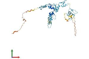 Protein Structure (PS) image for General Transcription Factor IIIA (GTF3A) (AA 1-365) protein (His tag) (ABIN7544310)