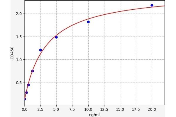 ACO2 ELISA Kit