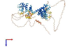 LAS1L Protein (AA 1-734) (His tag)