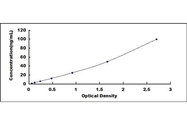 REG1B ELISA Kit