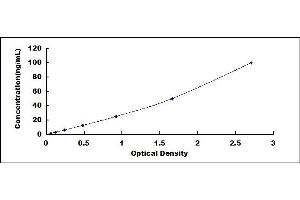 Typical standard curve (REG1B ELISA Kit)