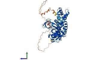 AlphaFold protein structure predicition of Mouse Recombinant Arhgef9 Protein, UniprotID Q3UTH8 (Arhgef9 Protein (AA 1-516) (His tag))