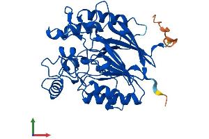 AlphaFold protein structure predicition of Mouse Recombinant Adprm Protein, UniprotID Q99KS6