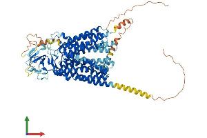 AlphaFold protein structure predicition of Human Recombinant SLCO1B3 Protein, UniprotID Q9NPD5 (SLCO1B3 Protein (AA 1-702) (His tag))
