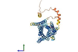 AlphaFold protein structure predicition of Mouse Recombinant Slc39a13 Protein, UniprotID Q8BZH0