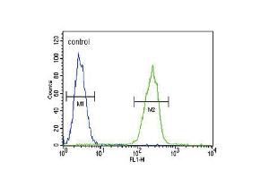 Flow cytometric analysis of MDA-MB231 cells (right histogram) compared to a negative control cell (left histogram). (SERPINA7 antibody  (C-Term))