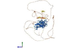 Protein Structure (PS) image for SUMO1/sentrin Specific Peptidase 5 (SENP5) (AA 1-755) protein (His tag) (ABIN7555472)