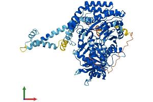 AlphaFold protein structure predicition of Mouse Recombinant Cpt1c Protein, UniprotID Q8BGD5 (CPT1C Protein (AA 1-798) (His tag))